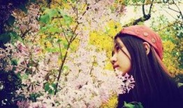 紫麻豆,探寻神秘豆类的传奇故事