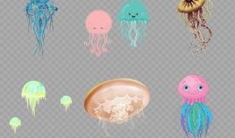水母漫画,奇幻海洋中的奇幻冒险